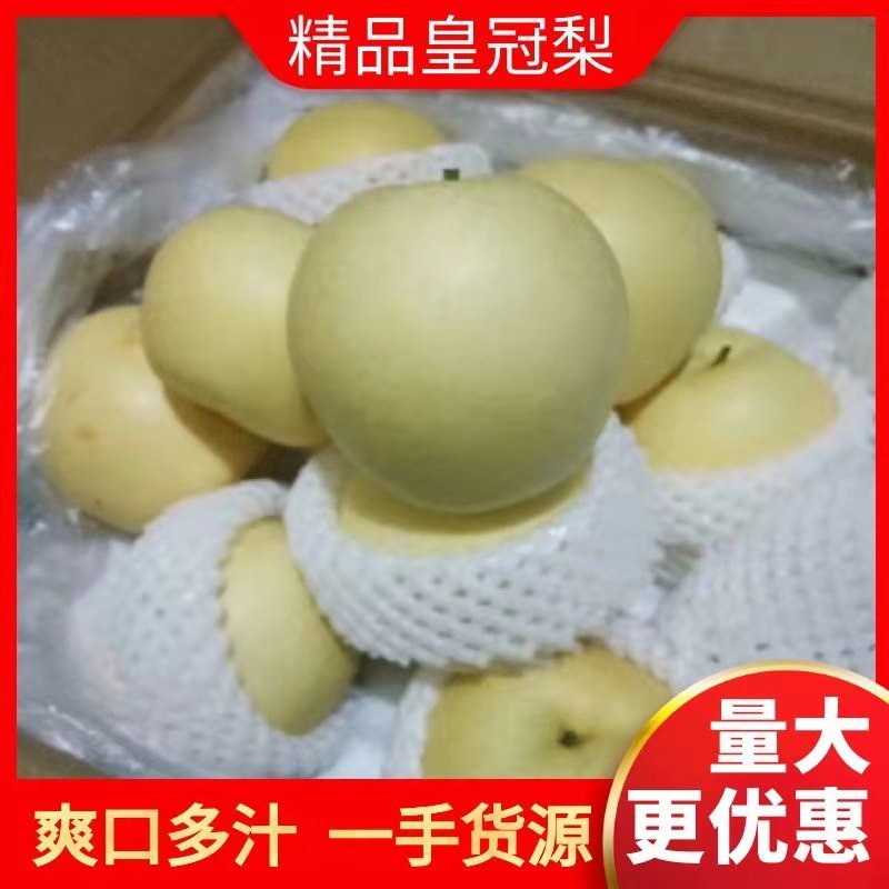 河北皇冠梨赵县皇冠梨超市优选产地直销电商微商供货