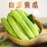 山东白玉黄瓜代发4.5斤新鲜应季清脆爽口水果黄瓜