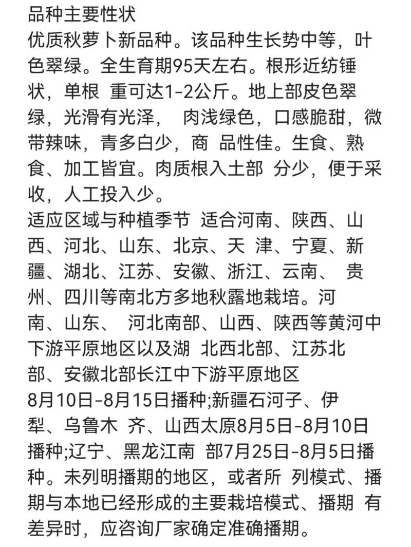 绿美人萝卜种子欧兰德791罐萝卜绿皮绿肉甜脆秋播冬储