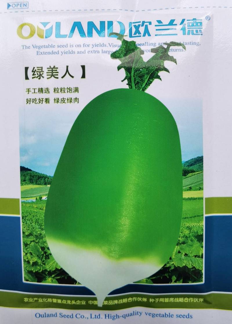 绿美人萝卜种子欧兰德791罐萝卜绿皮绿肉甜脆秋播冬储