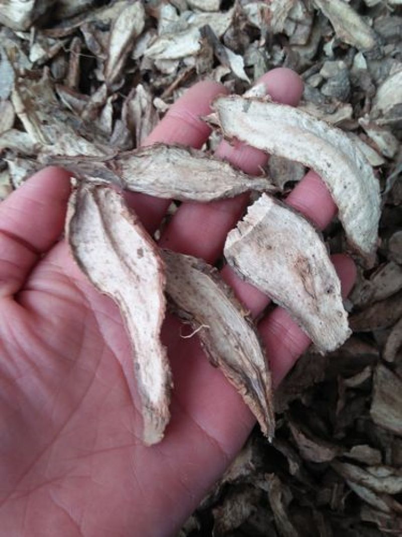 优质白蔹干，鲜白蔹，白蔹，干白蔹，白蔹干，白蔹条，白蔹片