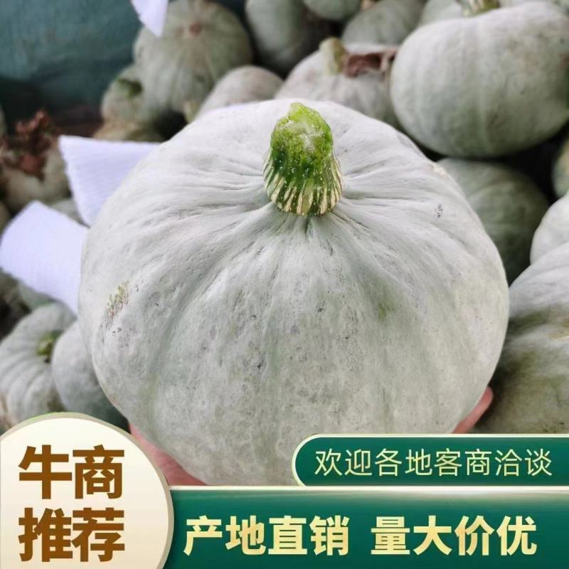 银栗南瓜量大从优质量保障视频看货诚信合作欢迎来电