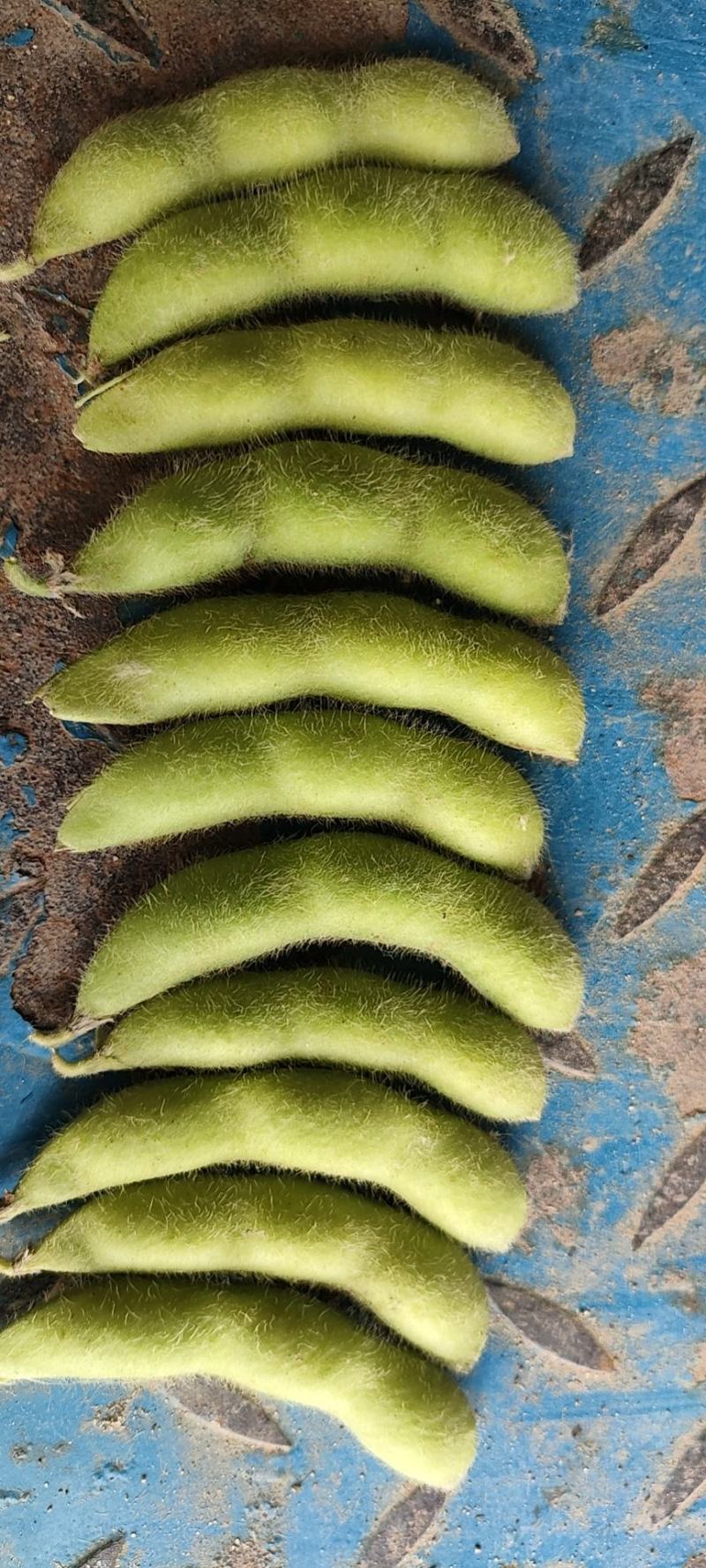 毛豆
