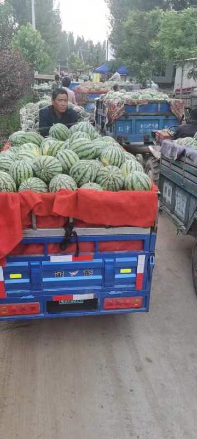 开封美都大量上市
