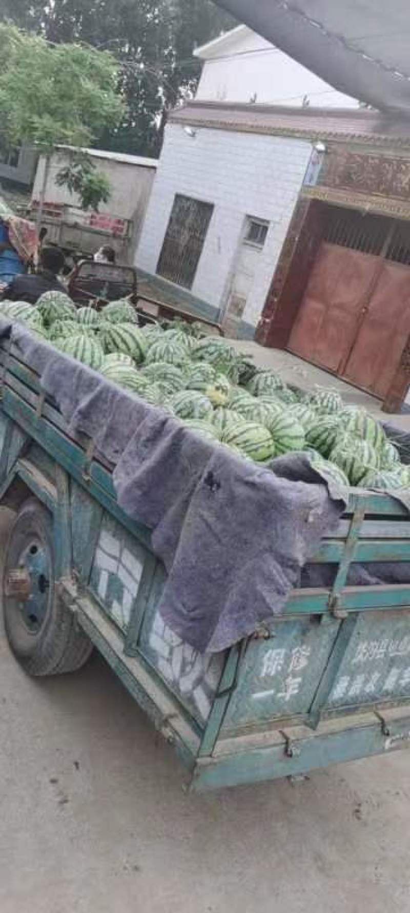 开封美都大量上市