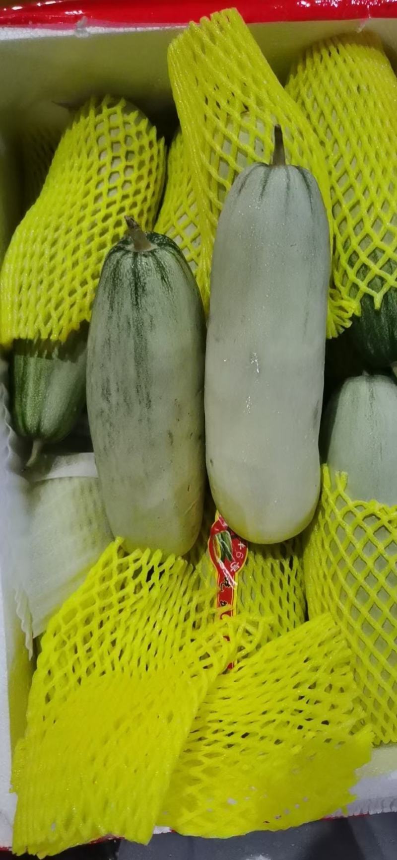 砀山【精选】甜瓜头茬羊角蜜博洋六一甜瓜，精品特甜