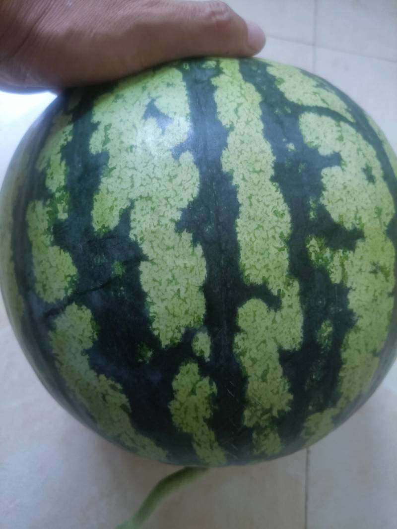 甜王