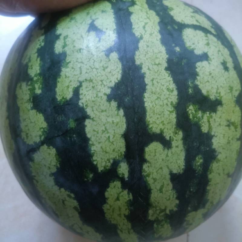 甜王