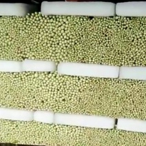 唐山滦南芹菜，中小颗，高度60-75公分