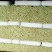 唐山滦南芹菜，中小颗，高度60-75公分