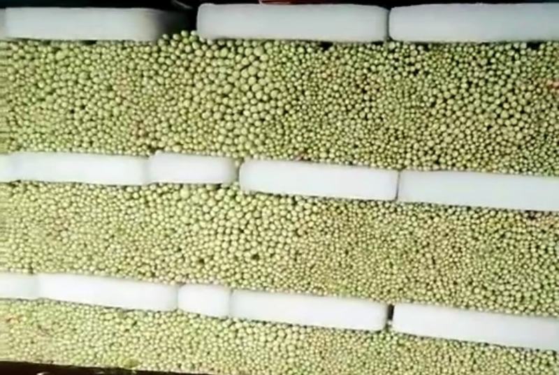 唐山滦南芹菜，中小颗，高度60-75公分