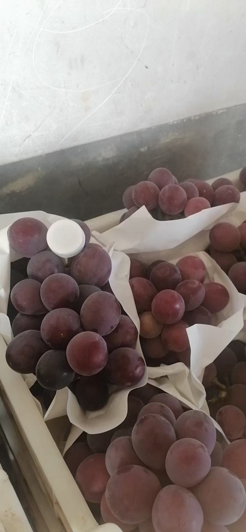 葡萄大量上市