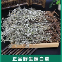 正品野生翻白草整颗带根天然中药材