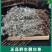 正品野生翻白草整颗带根天然中药材