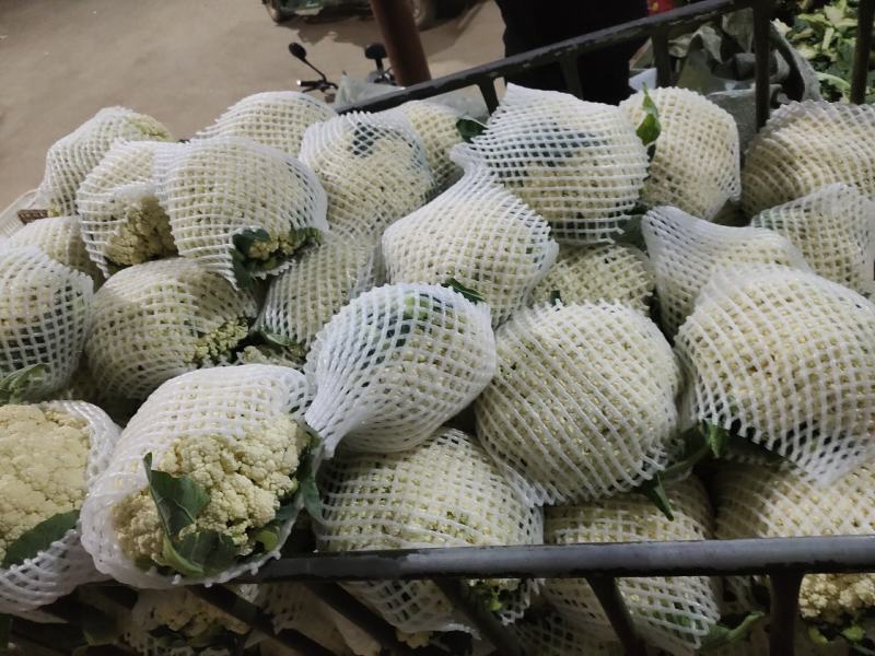 河北精品菜花，有机花，产地直供，一手货源，直供商超