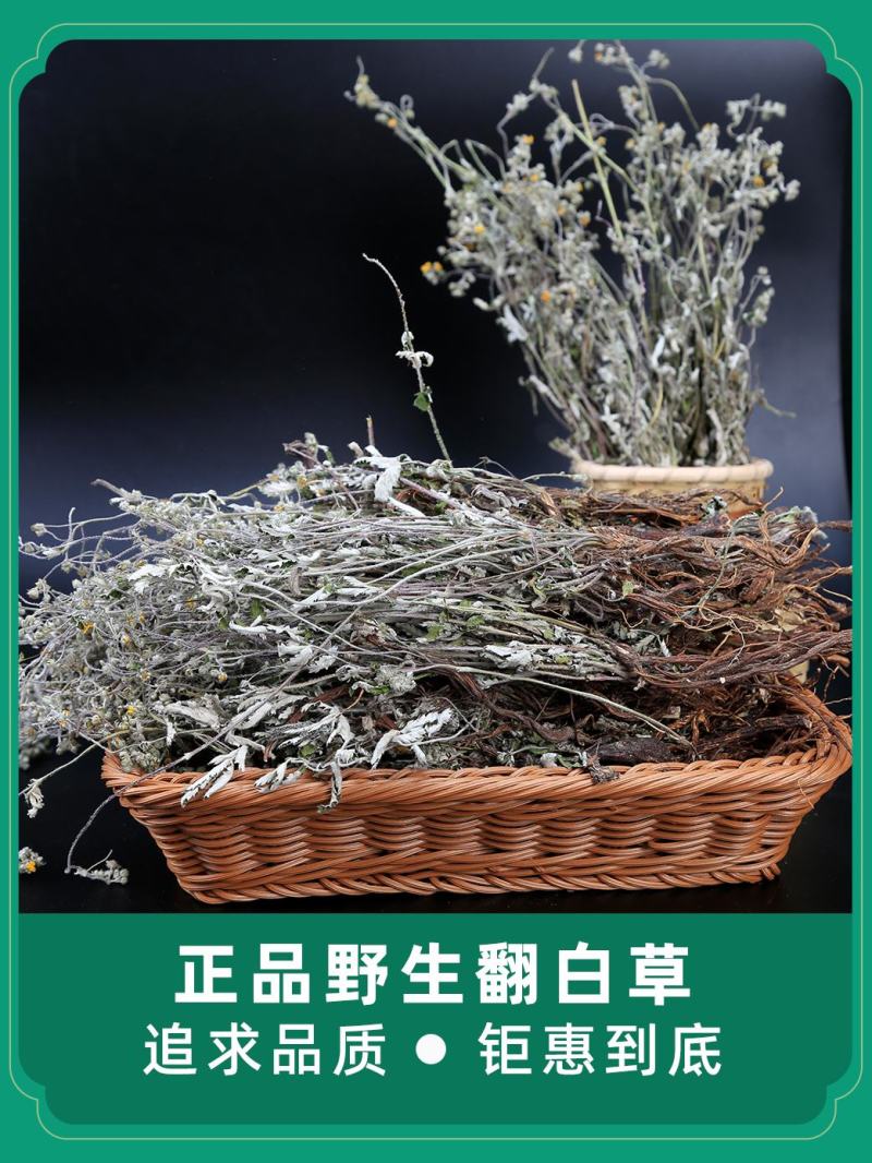 正品野生翻白草整颗带根天然中药材