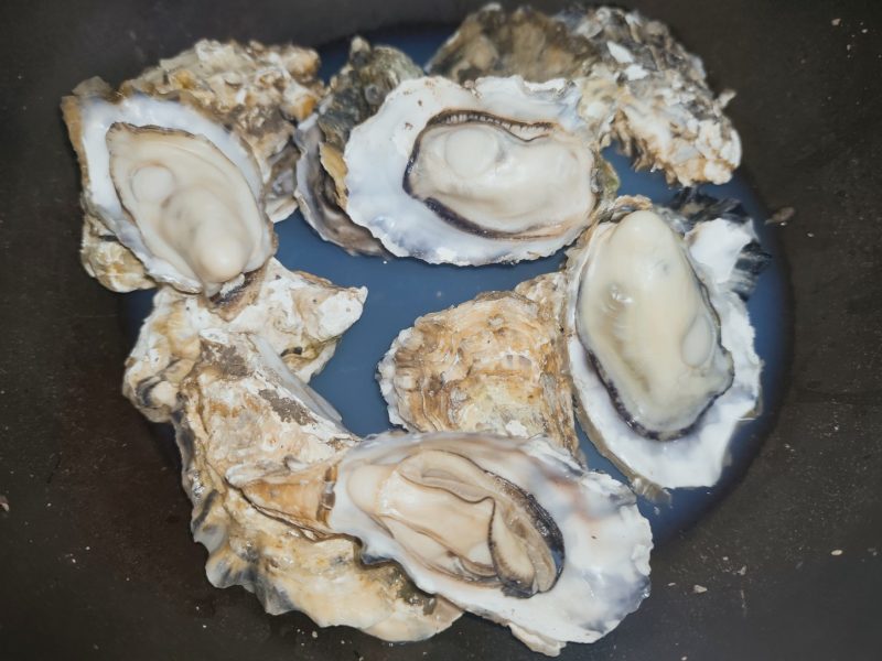 乳山牡蛎净化蚝刺身级食材产销一体产地直发常年供应