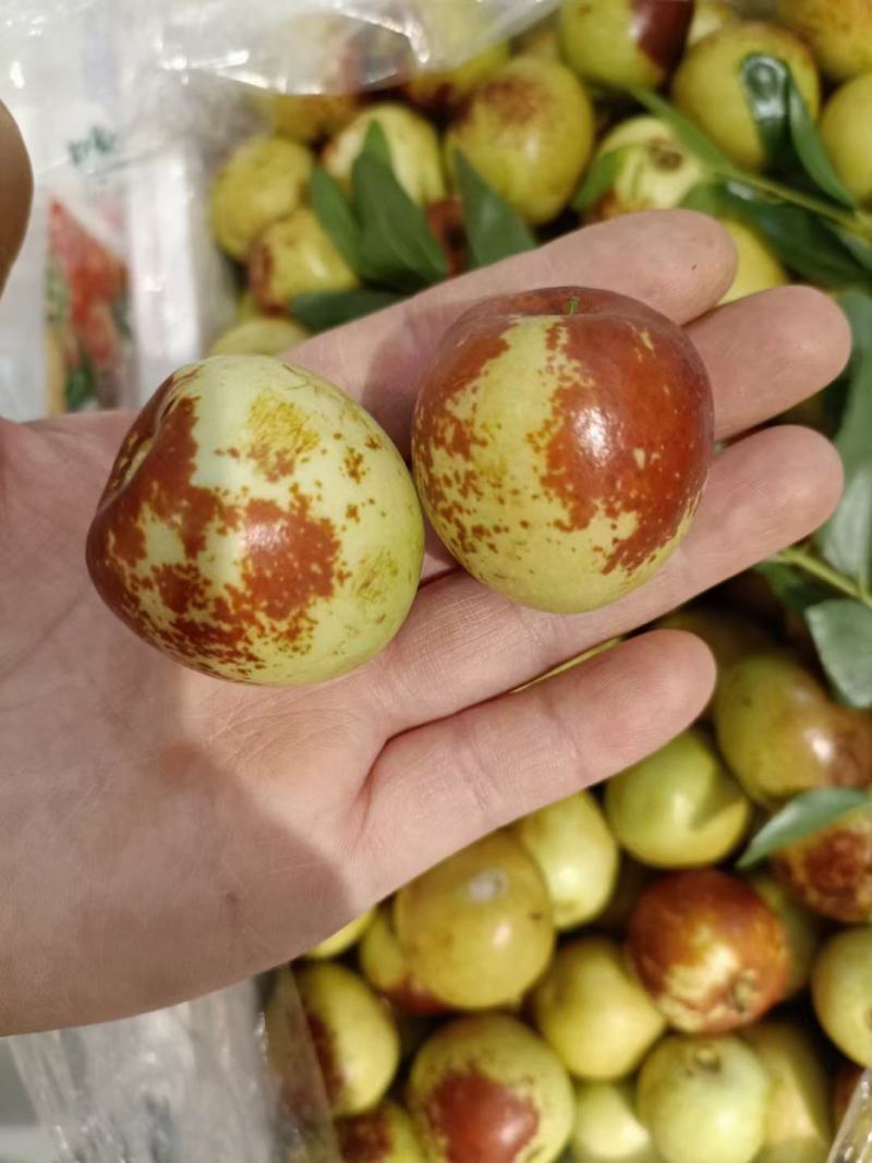 大荔冬枣