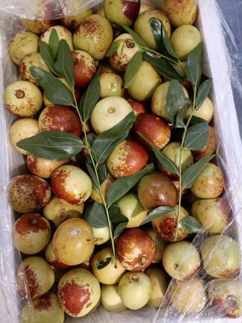 大荔冬枣