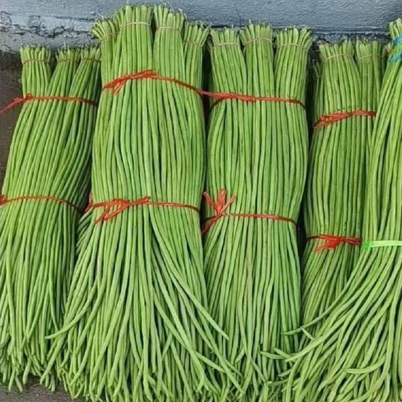 本地长豆角青条豆角大量有货，质量保证有需要的联系