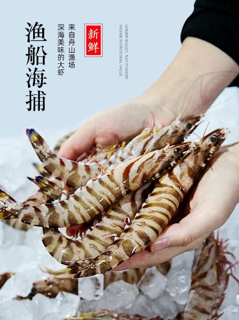 东海斑节虾九节虾产地直供，厂家直销一手货源大型批发商