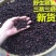新货野山捻子干泡酒料山稔子桃金娘果多尼岗棯子包邮