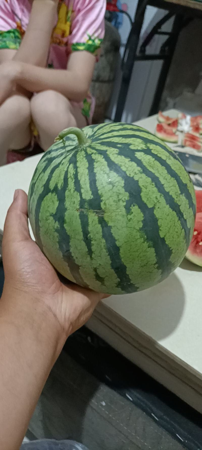 台头陆地京欣小西瓜