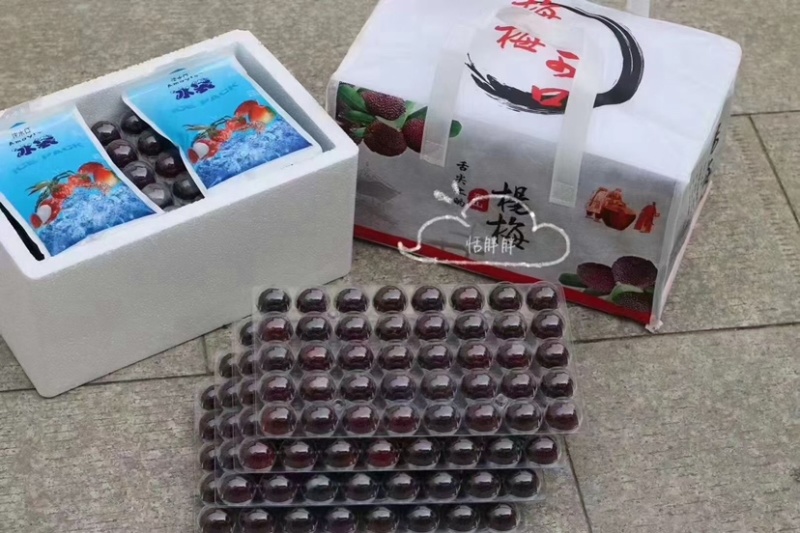 苏州东山乌紫杨梅，火热🔥销售中