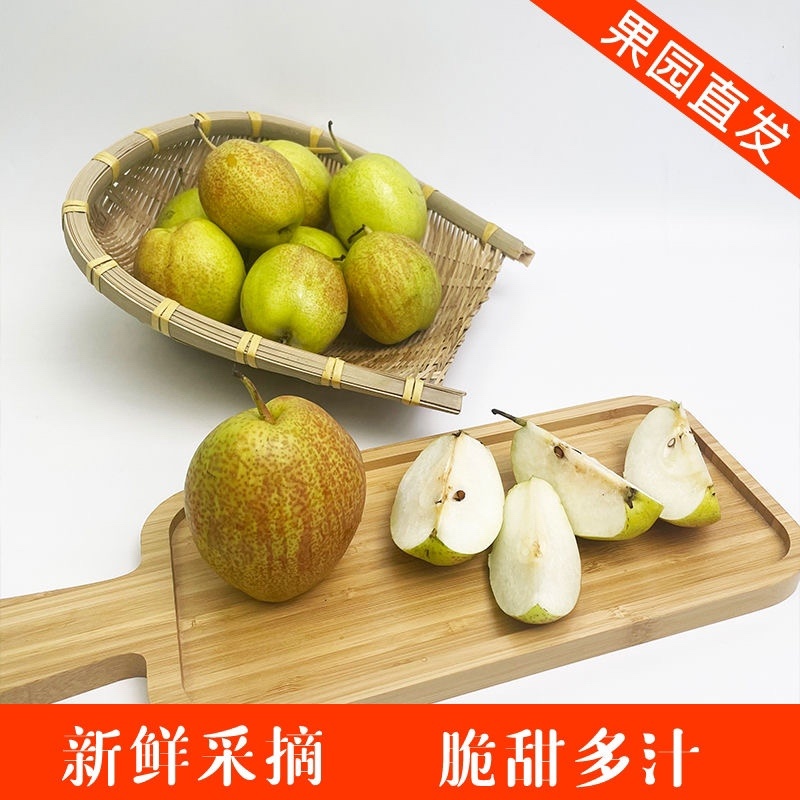 河北新梨七号香梨，大量上市价格优惠货源充足质量有保证