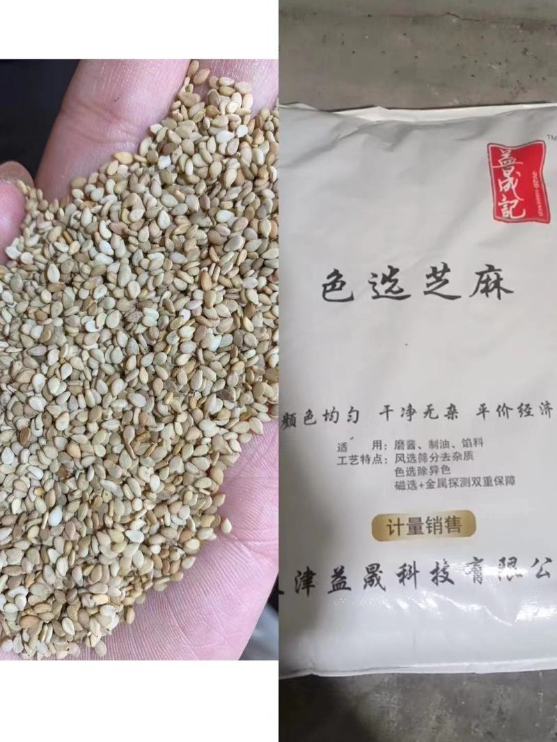 油麻熟白芝麻做芝麻酱磨香油及做食品用料