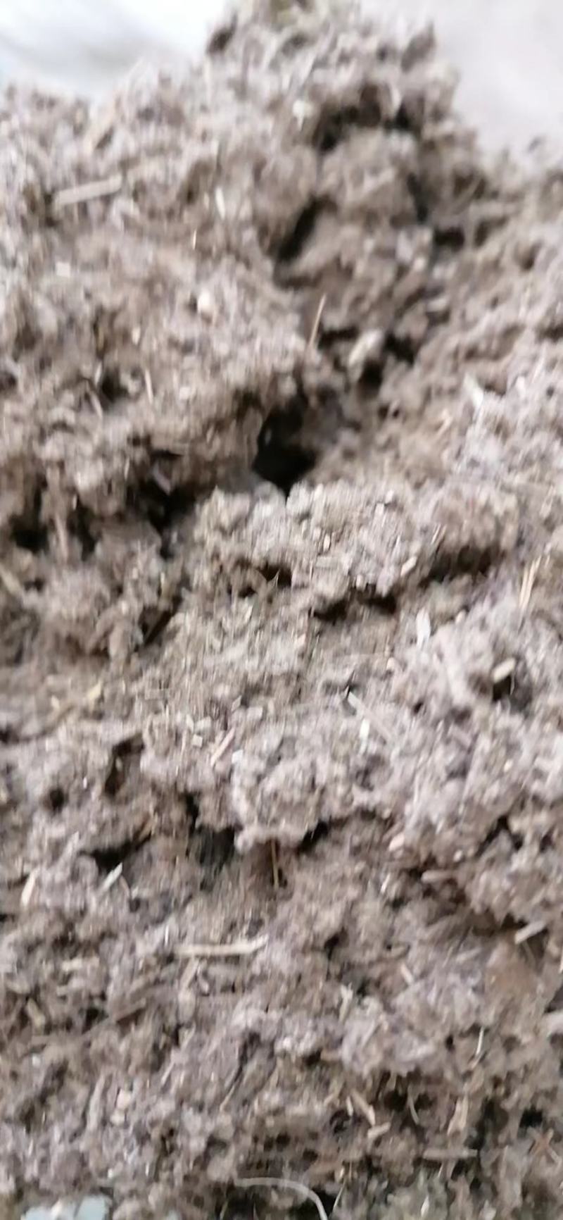 坯绒散装陈艾绒纯艾绒1:1坯绒