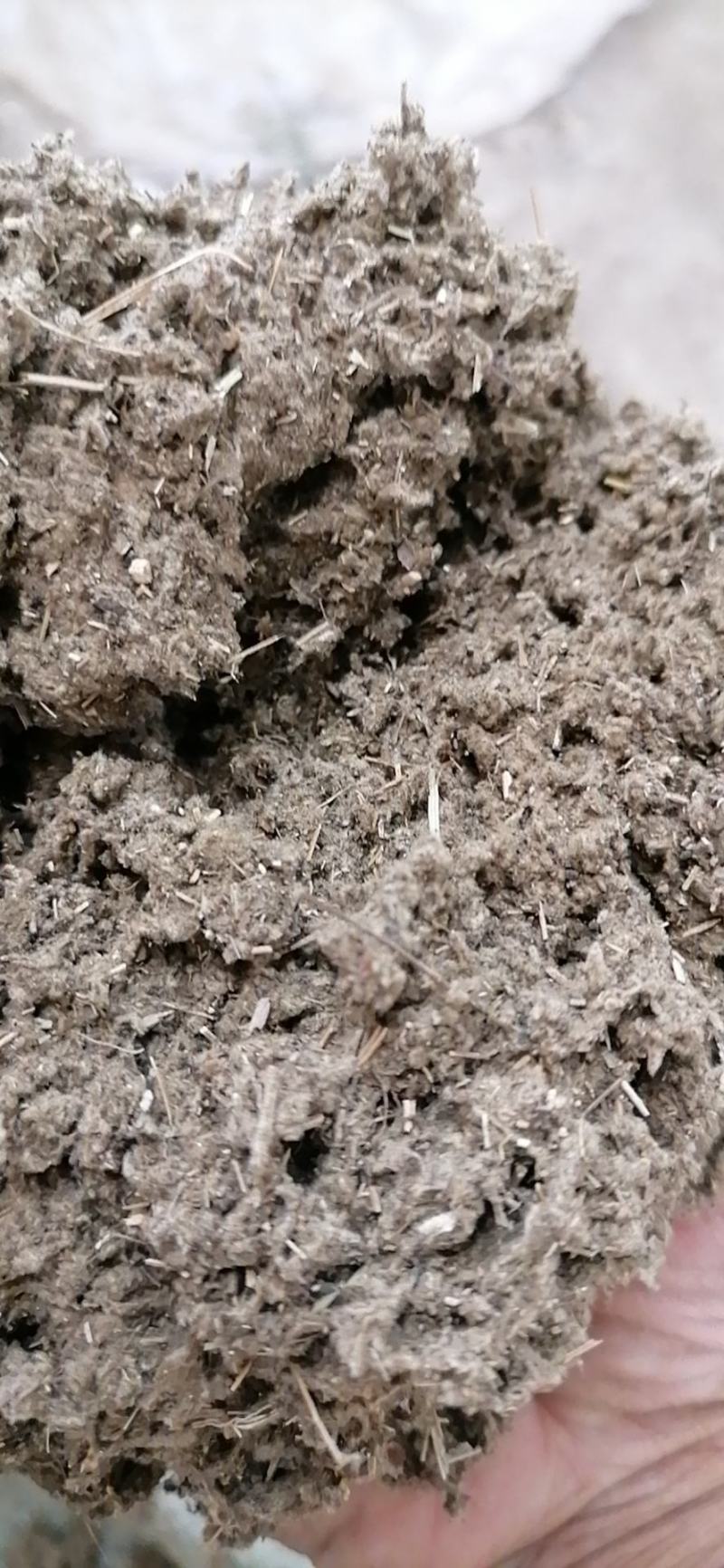 坯绒散装陈艾绒纯艾绒1:1坯绒