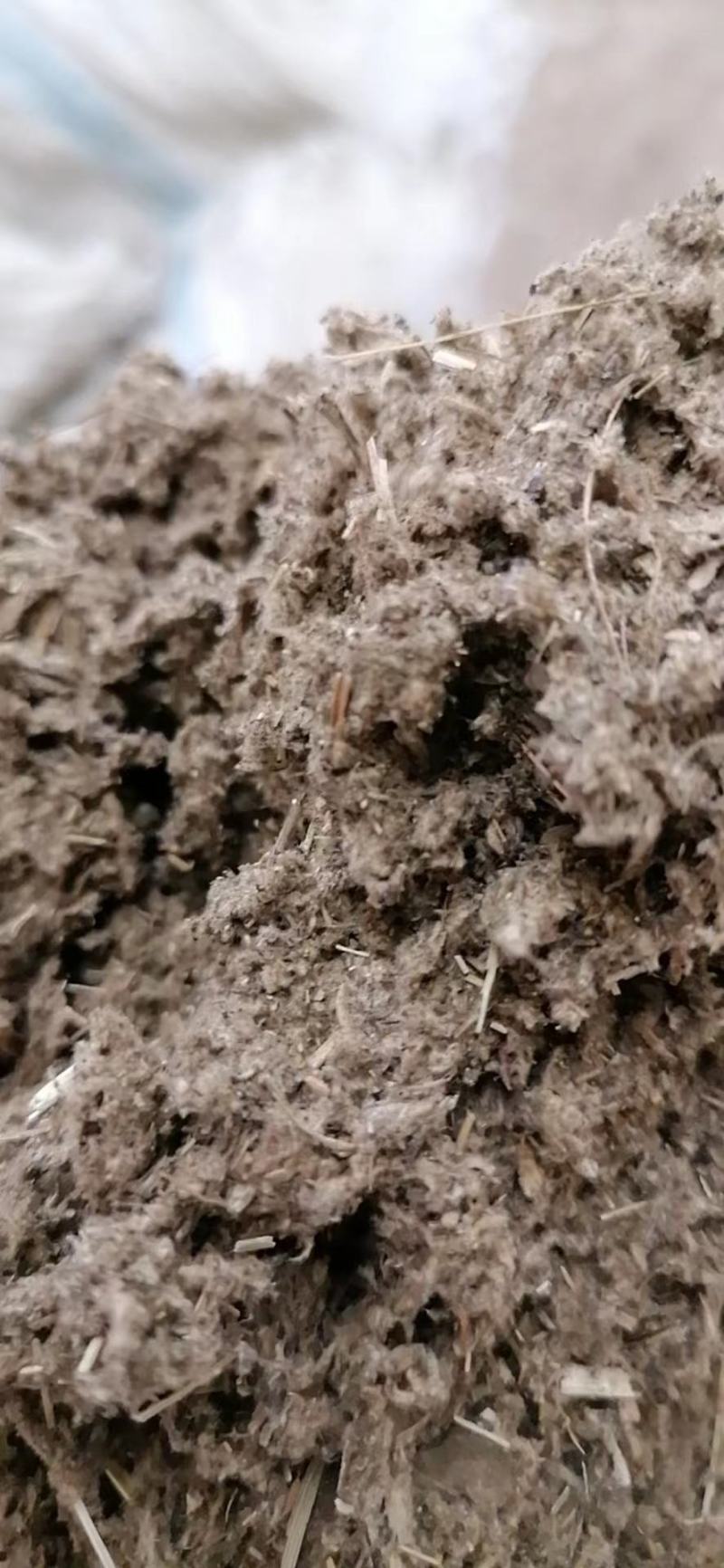坯绒散装陈艾绒纯艾绒1:1坯绒