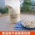 黄山冬瓜干晒干农家自制泡水脱水菜干冬瓜条丝冬瓜500g
