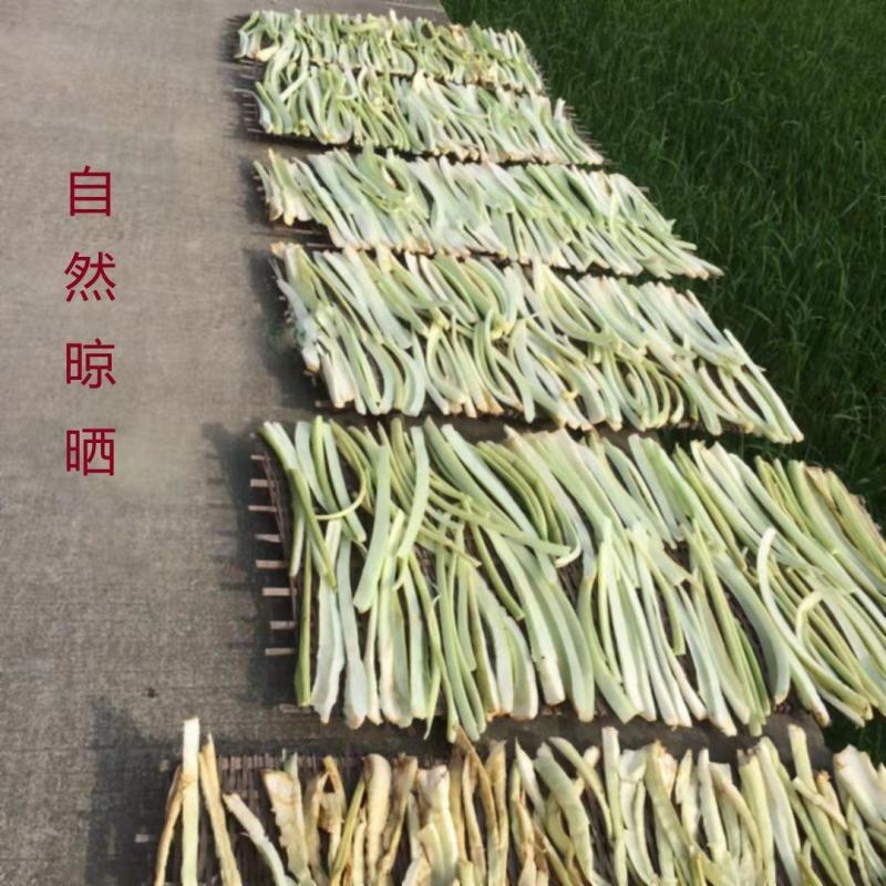 广宁特产白芋合干农家自晒芋梗干天然脱水蔬菜干芋荷干芋苗