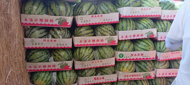 精品美都西瓜，品种多多，包熟包甜，欢迎电话优惠！