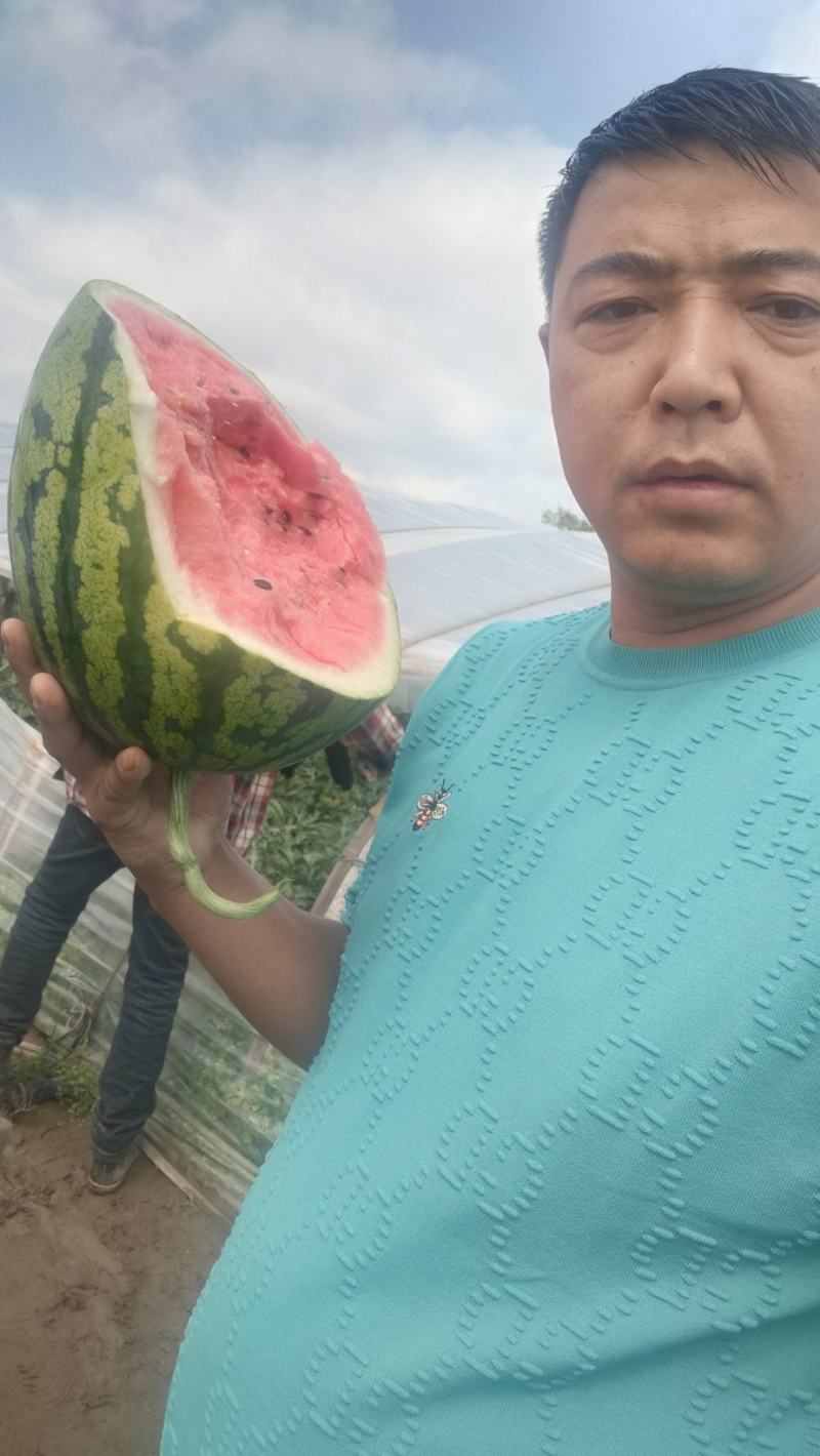 辽宁盖县西瓜大量上市，熟度好质量好价格不高，大行瓜