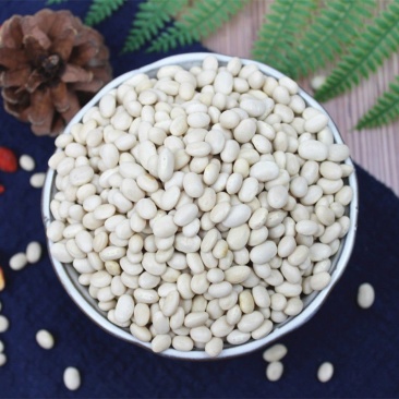 云南珍珠豆新货农家自种小脱水芸豆小白豆炖菜煲汤打豆浆