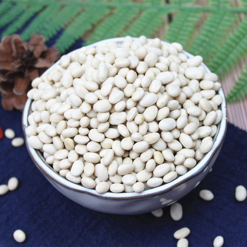 云南珍珠豆新货农家自种小脱水芸豆小白豆炖菜煲汤打豆浆