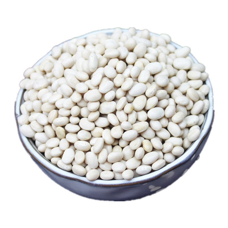 云南珍珠豆新货农家自种小脱水芸豆小白豆炖菜煲汤打豆浆