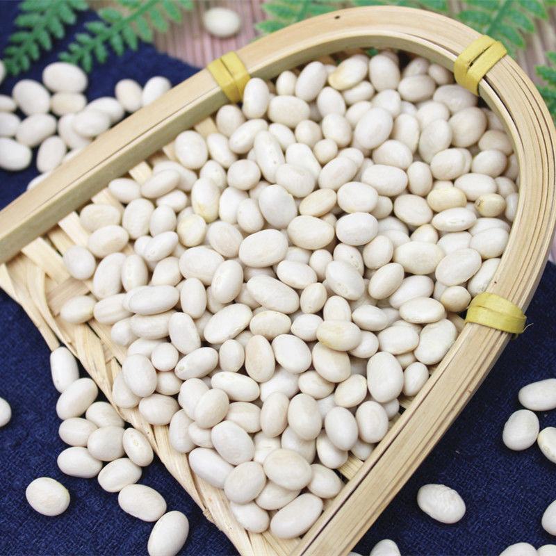 云南珍珠豆新货农家自种小脱水芸豆小白豆炖菜煲汤打豆浆