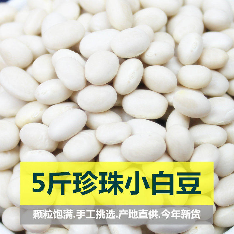 云南珍珠豆新货农家自种小脱水芸豆小白豆炖菜煲汤打豆浆