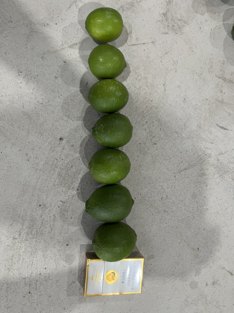 云南塔希提无籽柠檬，基地种植产量大品质稳