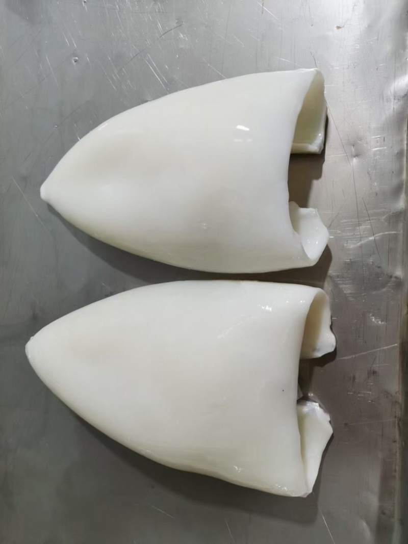 新鲜墨鱼筒商用墨鱼卤汁大墨鱼墨鱼丸原料墨鱼