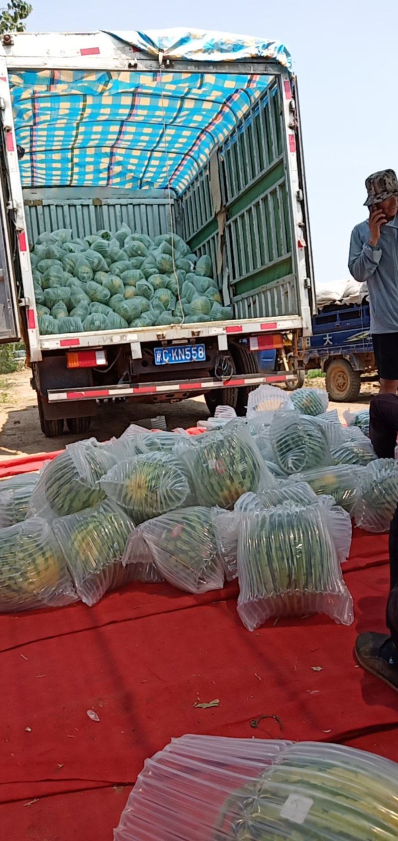 美都，夏宝，夏乐，甜蜜蜜，北京走起