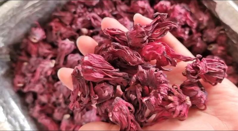 玫瑰茄洛神花国产干货药食两用量大优惠