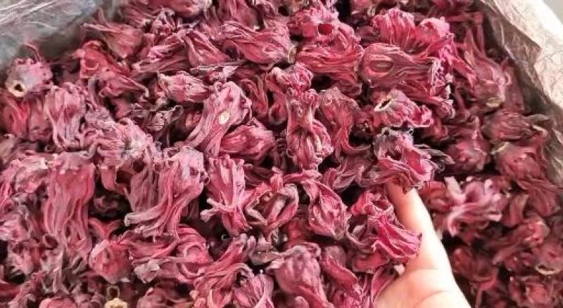 玫瑰茄洛神花国产干货药食两用量大优惠