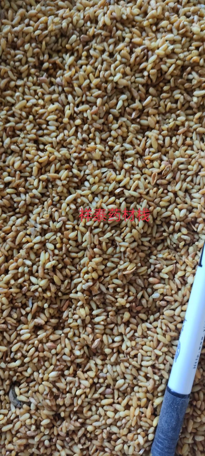《热销》柏子仁（祥泰药材栈）中药材批发零售量多从优