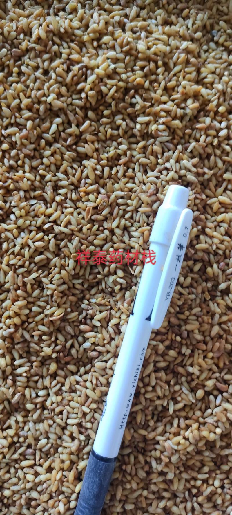 《热销》柏子仁（祥泰药材栈）中药材批发零售量多从优