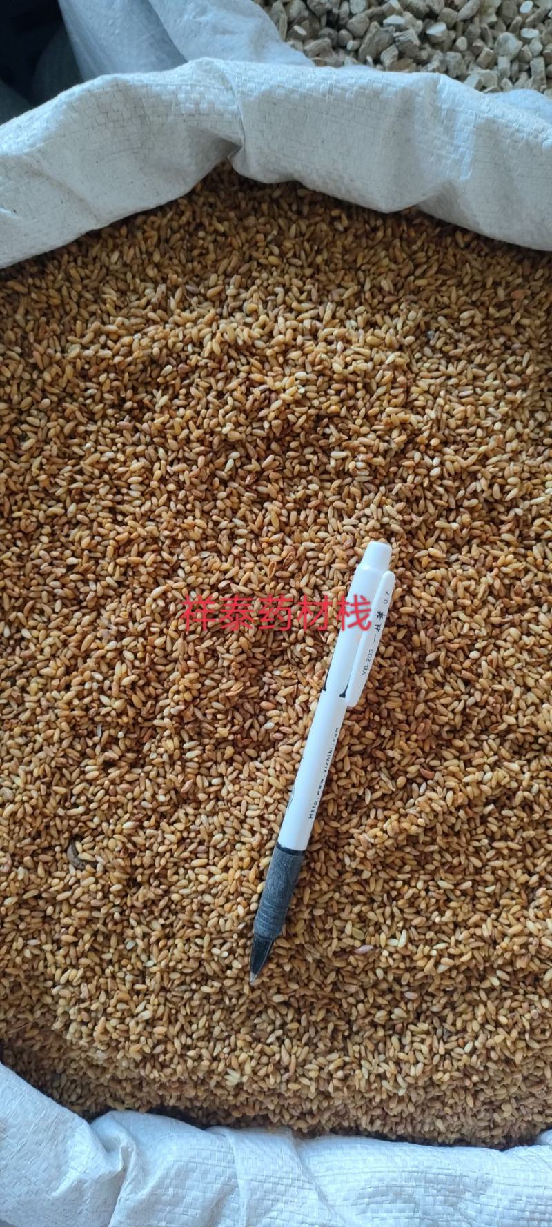 《热销》柏子仁（祥泰药材栈）中药材批发零售量多从优